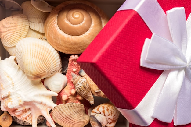 Caja de regalo roja con lazo blanco lleno de conchas de mar. vacaciones tropicales en concepto de temporada de invierno