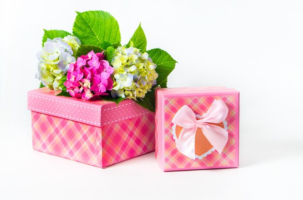 Caja de regalo rosa con dos flores de hortensias. Aislado sobre fondo blanco