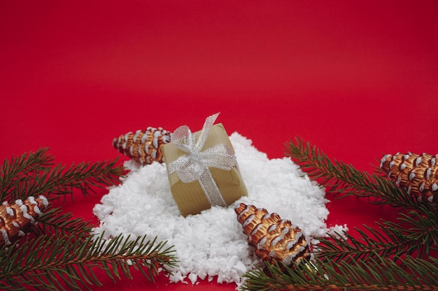 Caja de regalo verde de Navidad y ramas de pino y conos marrones. aislado sobre fondo rojo