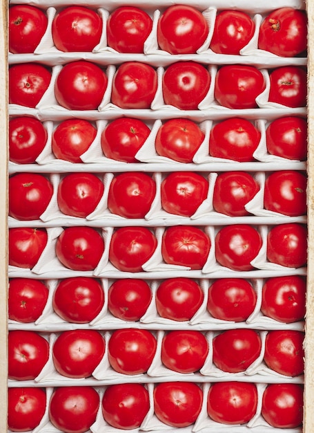 Caja de tomates tomates maduros de cerca yacen en filas iguales en una caja para la venta