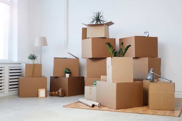 Foto cajas de cartón apiladas en una habitación vacía con plantas y pertenencias personales en el interior, concepto de mudanza o reubicación