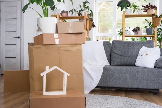 Cajas con cosas para mudarse y plantas de interior están en la habitación de la nueva casa Transporte de carga de propiedad familiar de inauguración y entrega de cosas