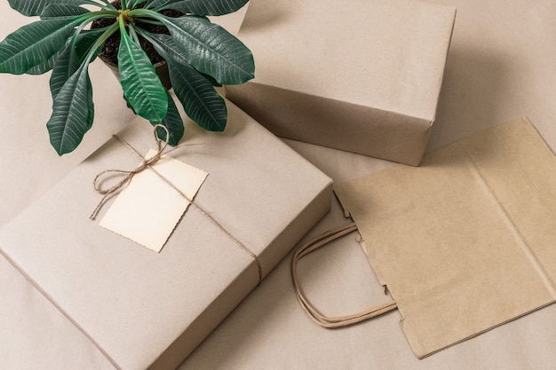 Cajas empaquetadas y bolsa de compras sobre fondo gris con planta verde, vista superior.