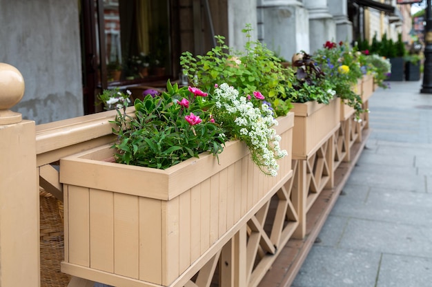 Cajas de flores decorando un café de verano.