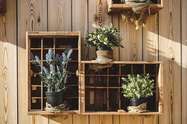 Cajas de madera con lavanda, salvia y otras plantas aromáticas