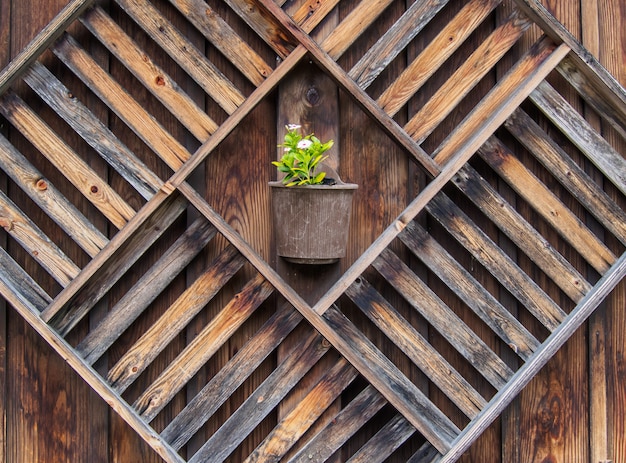 cajas de madera en la pared de madera