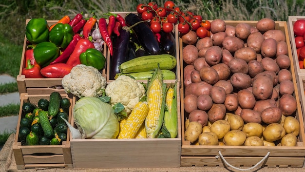 Foto cajas de madera con verduras de temporada en un mostrador del mercado de agricultores