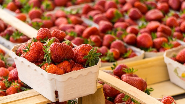 Cajas de porciones pequeñas de fresas en el marcador