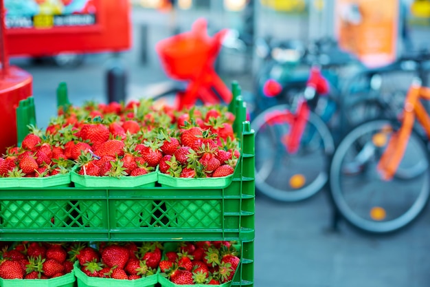 Cajones de fresas maduras frescas en los estantes de las tiendas.