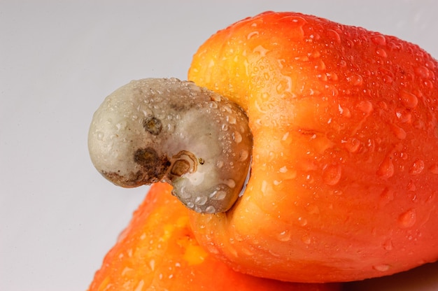 Foto caju e castanha em estúdio com gotículas de água brazilian fruit