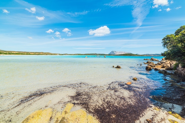 Foto cala brandinchi en la costa esmeralda de cerdeña