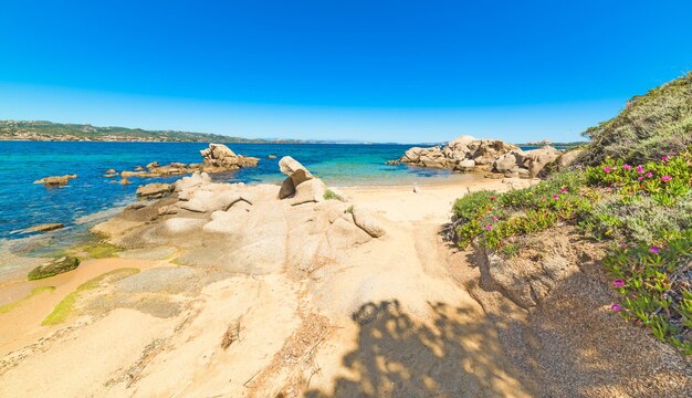 Cala dei GInepri an der Costa Smeralda Sardinien