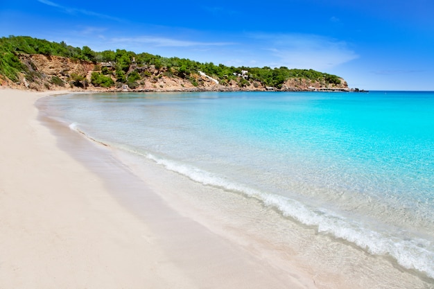 Cala Llenya auf Ibiza mit türkisfarbenem Wasser auf Balearen