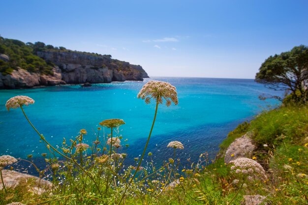 Foto cala macarella ciudadela menorca mar mediterrâneo turquesa nas ilhas baleares