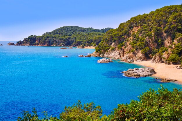 Cala sa boadella praia platja em lloret de mar