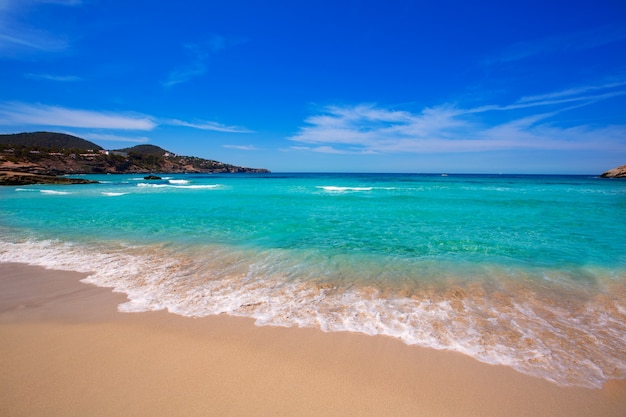 Foto cala tarida en la playa de ibiza en las islas baleares