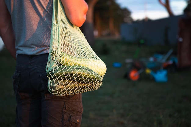 Calabacín en una bolsa de malla en el jardín en manos de un agricultor en un área suburbana con una granja Cosecha ecológica ecológica