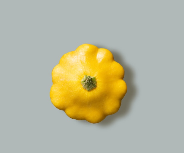 Calabaza de arbusto amarillo sobre un fondo gris. Vista superior y copia de la imagen del espacio.