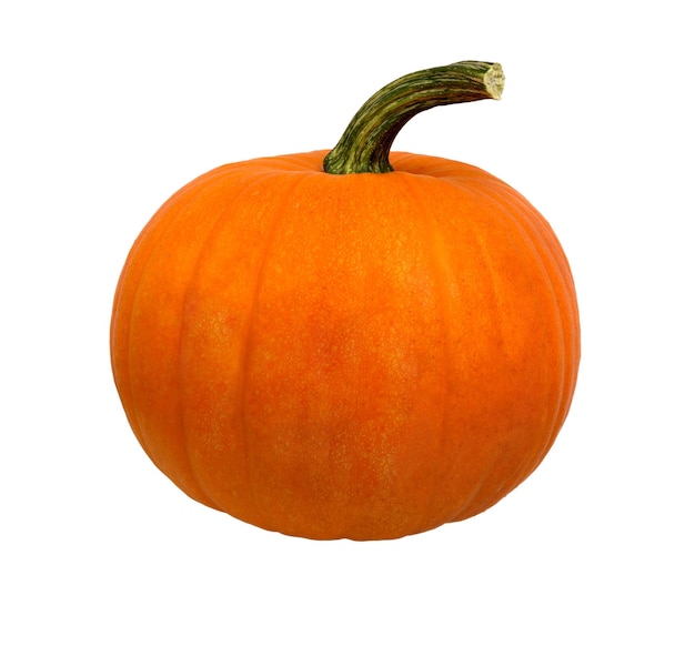 Calabaza en blanco