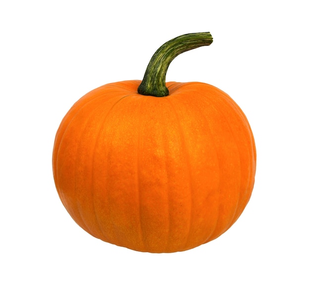 Calabaza en blanco