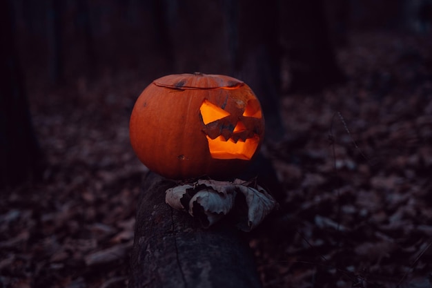 Calabaza con cara tallada en el bosque