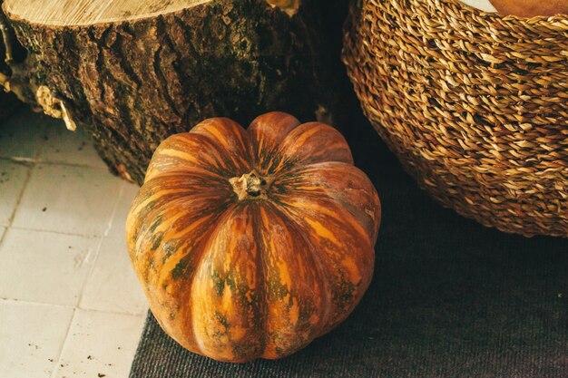 calabaza de cerca en la mesa