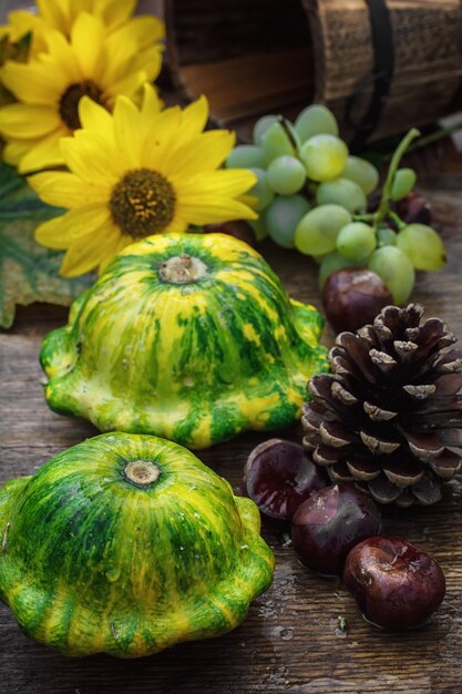 Calabaza de cosecha