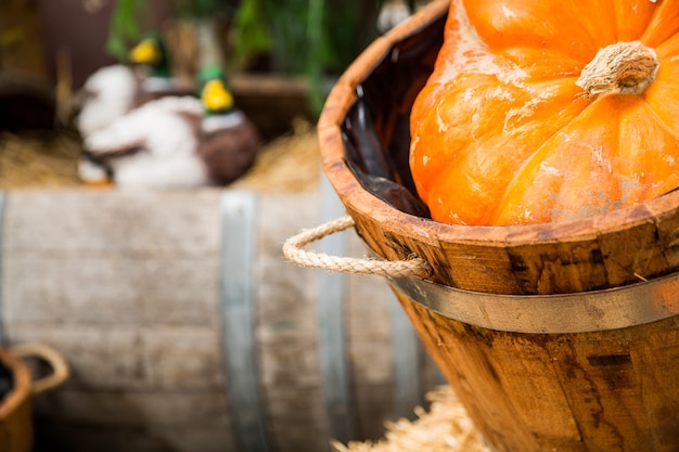 Calabaza en cubo de madera