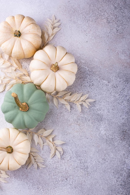 Calabaza decorativa blanca y verde