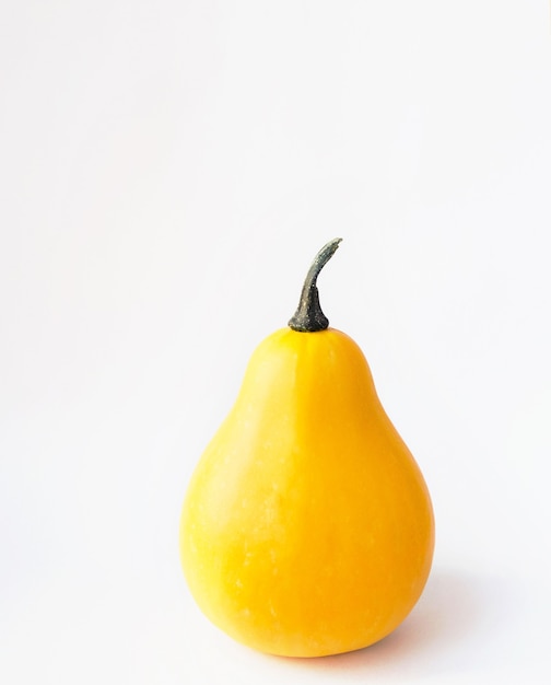 Calabaza decorativa coloreada aislado en blanco. Calabaza. Lagenaria.