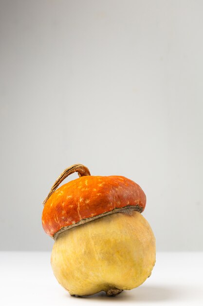 Foto calabaza decorativa madura sobre una vista lateral de fondo blanco