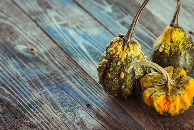 Calabaza decorativa sobre una mesa de madera oscura