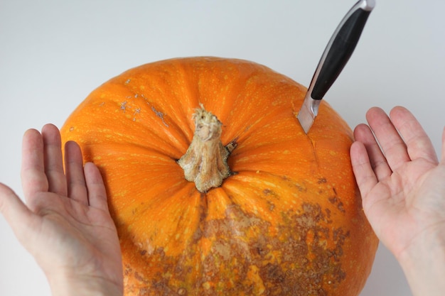 Calabaza entera cruda con cuchillo y manos de mujer que muestran cómo cortar calabaza con cáscara dura en el fondo blanco. Concepto