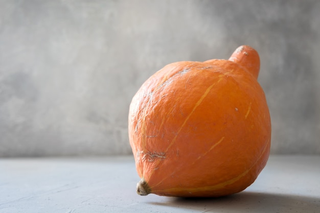 Calabaza fea en gris. Vegetales orgánicos