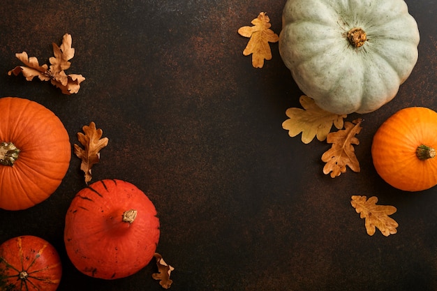 Calabaza. Fondo de comida otoñal con canela, nueces y especias de temporada sobre fondo rústico de musgo. Cocinar pastel de calabaza o manzana y galletas para el Día de Acción de Gracias y las vacaciones de otoño. Espacio de copia de vista superior.