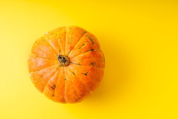 calabaza fresca naranja pequeña sobre amarillo