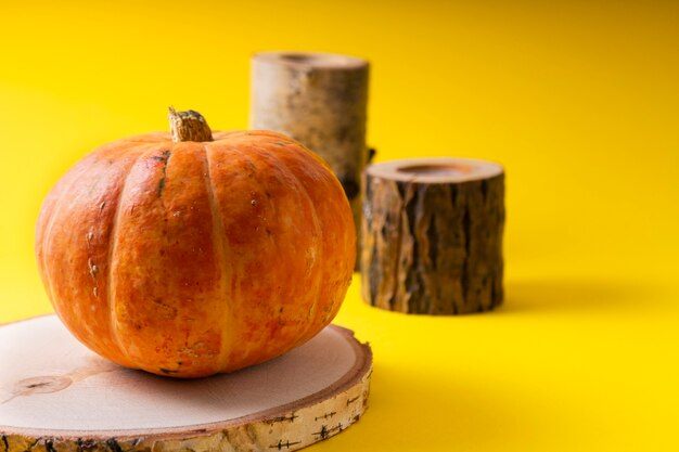 Calabaza fresca naranja pequeña en tronco de madera en amarillo