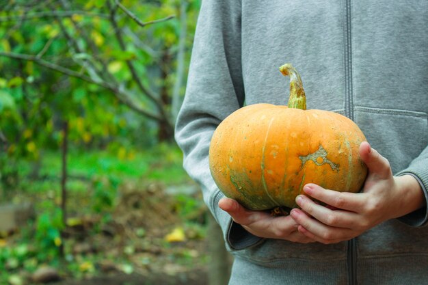 calabaza fruta madura y fresca