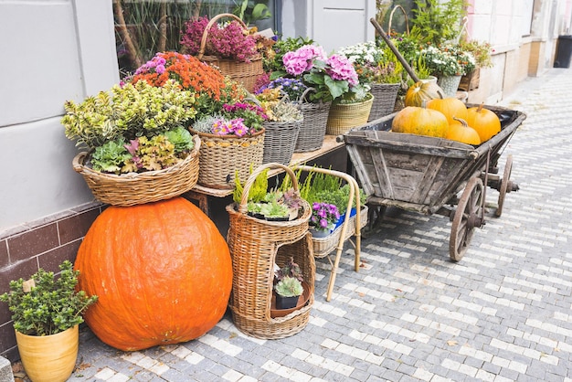 Calabaza grande frente a la tienda de flores Decoración de otoño de Halloween y Acción de Gracias