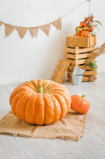 Calabaza grande sobre un fondo blanco Decoración otoñal con cajones de madera y espiguillas secas