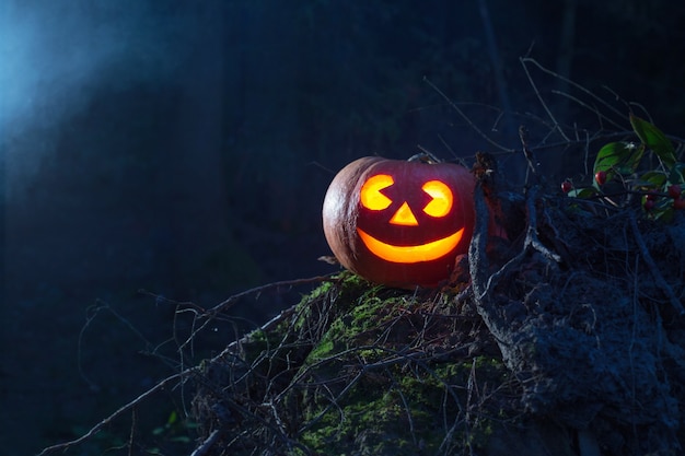 Calabaza de Halloween en el bosque