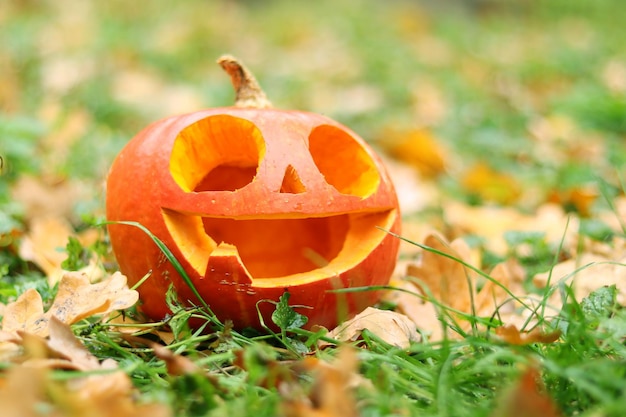 Calabaza de Halloween con una cara linda