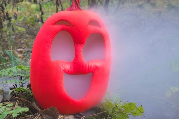 Calabaza de Halloween de color rosa en el bosque de otoño en un viejo tocón Jack lantern con vapor de boca