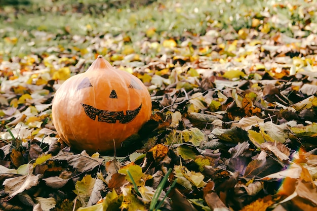 Calabaza de Halloween divertida en el parque de otoño con hojas de otoño.