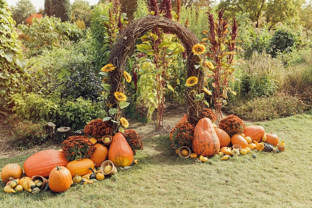 Calabaza de Halloween y flores de crisantemo decoración de otoño Laberinto de entrada en el festival