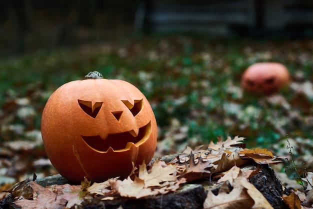 Calabaza de Halloween en hojas de otoño