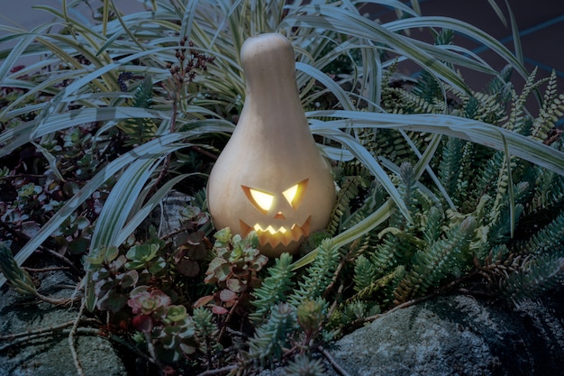 Calabaza de Halloween en el jardín al atardecer