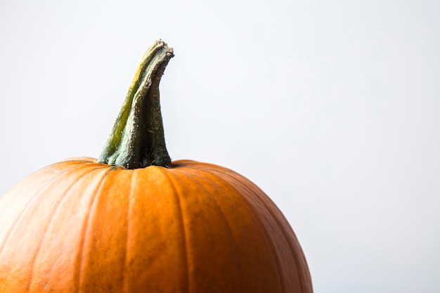 Calabaza de halloween de otoño contra un fondo liso