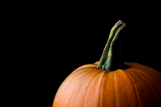 Calabaza de halloween de otoño contra un fondo liso