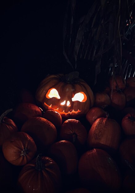 Foto calabaza de halloween entre otras calabazas.